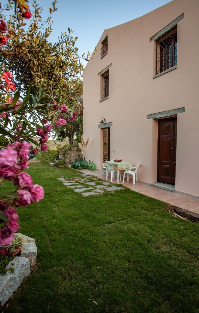 Villa Peditoltu Olbia Buitenkant foto