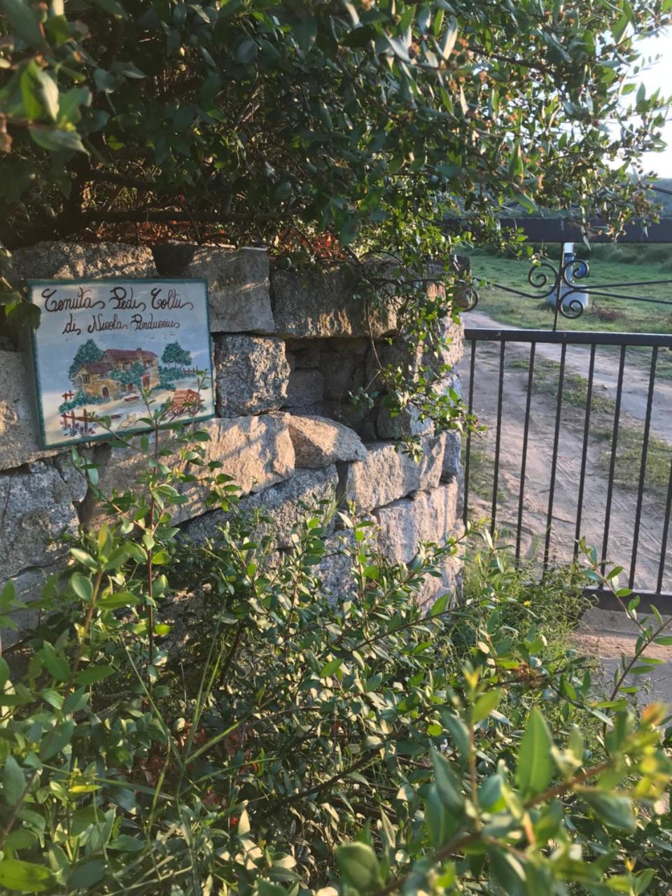 Villa Peditoltu Olbia Buitenkant foto